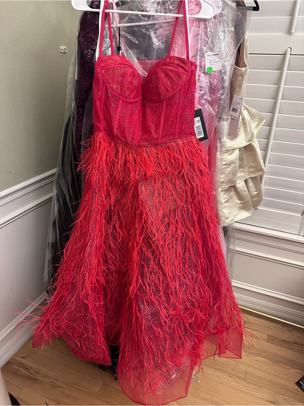 Terani Couture Hot Pink Red Feathered Bustier Prom Dress